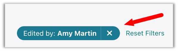 clear filter for author name